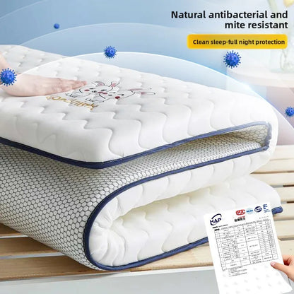 Soft Latex Mattress Home Use Tatami Pad Sleeping Mat for Students Dormitory Single Sponge Rent Special Pad Quilt